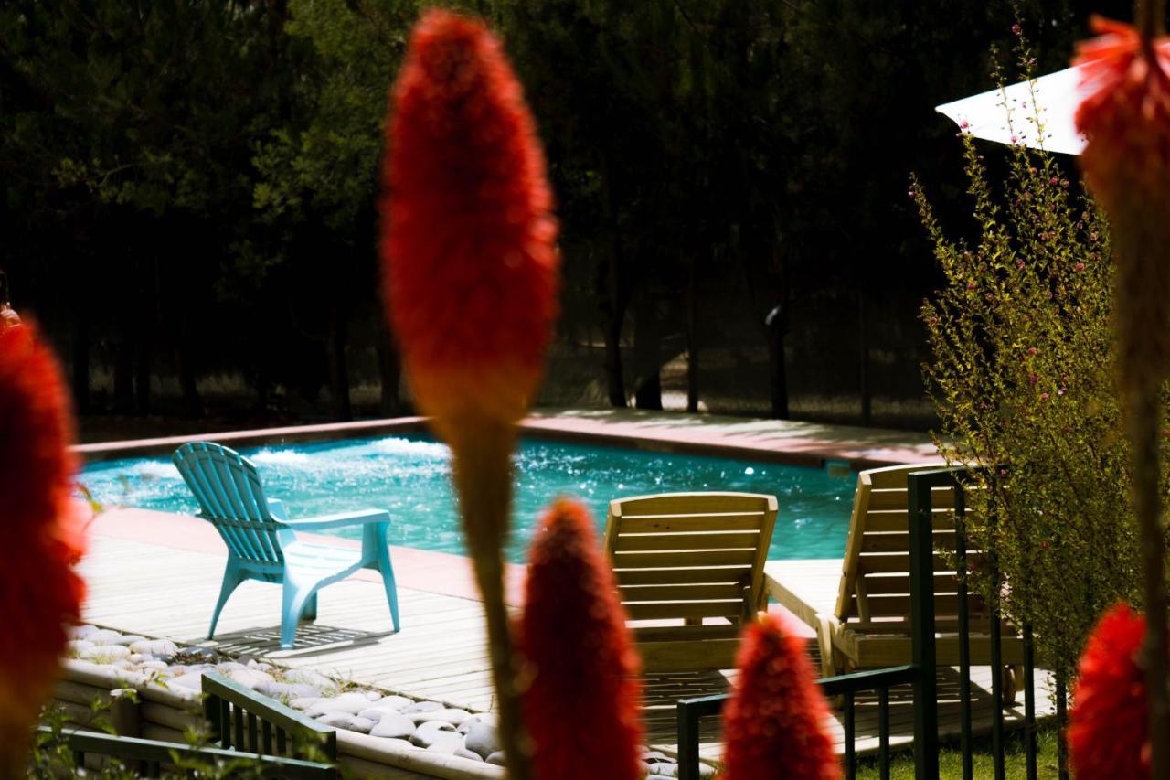 Cabana En Tunquen Con Parrilla, Fogon, Piscina Y Bosque Exterior photo